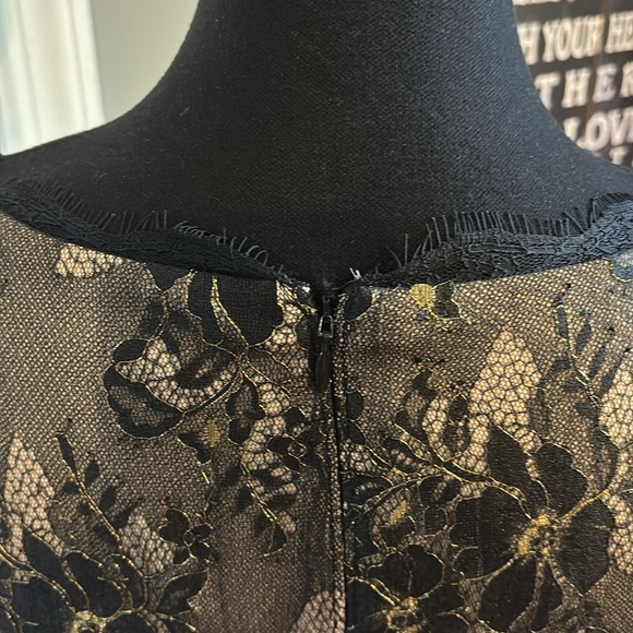 NWT! Adrianna Papell Women's Metallic Lace Dress w/ Tag - Picture 9 of 15